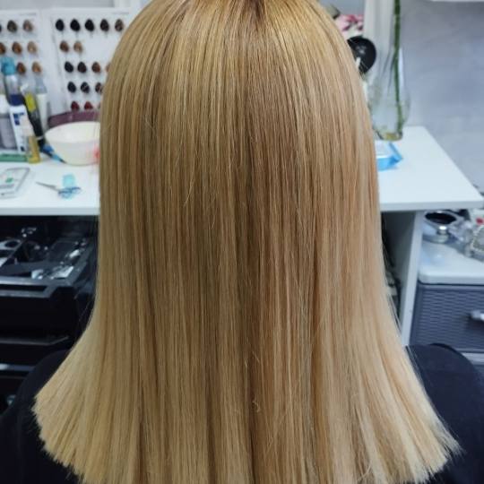 Shiny Look Gordina #nis