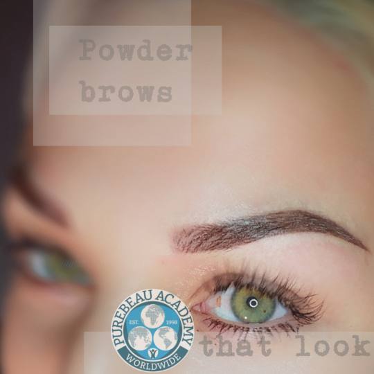 Zirna Exclusive Beauty Center #novisad Obrve
