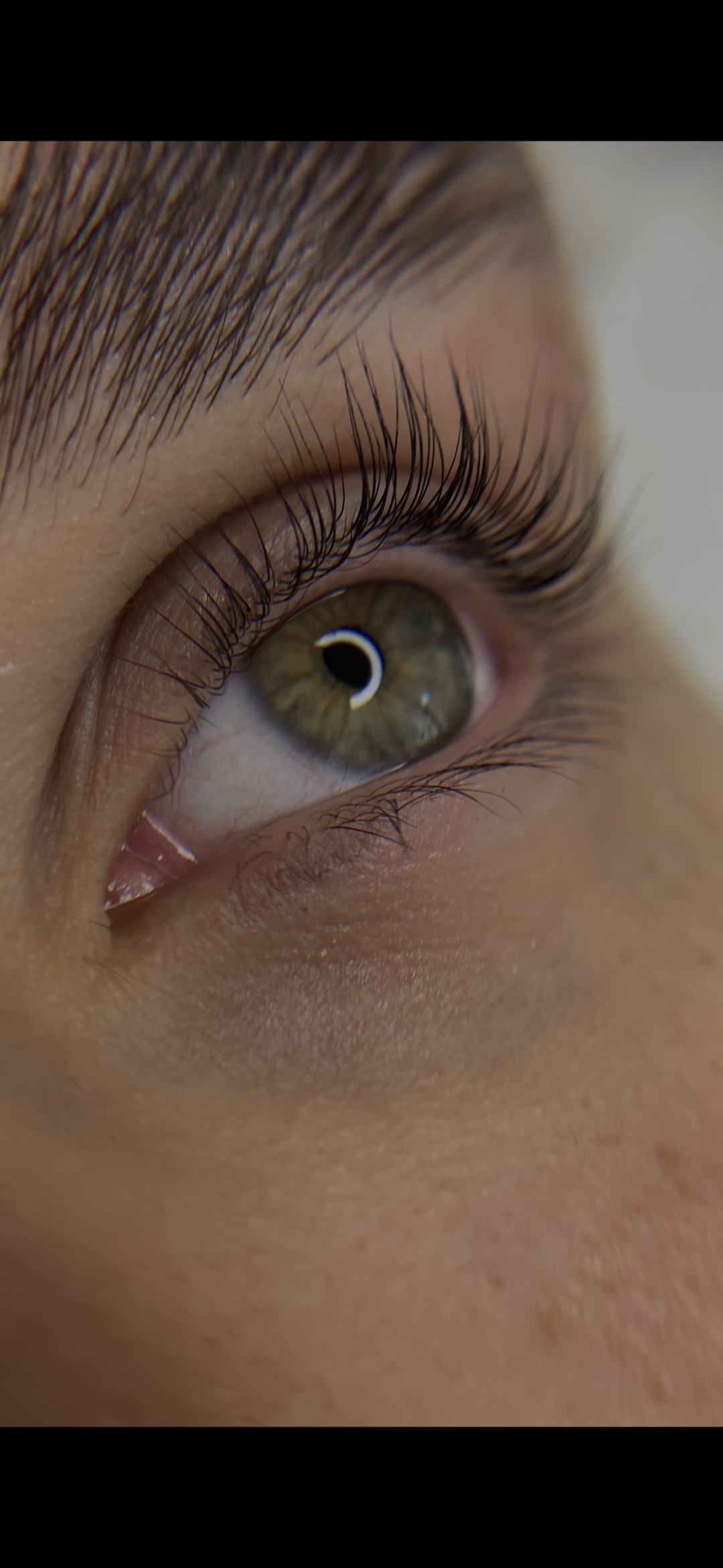 Studio Noel #beograd Trepavice Hybrid Lash lift