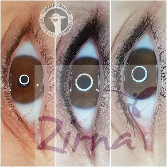 Zirna Exclusive Beauty Center #novisad Trajna šminka