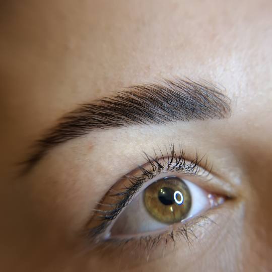 Beauty Studio by Milica Pavlović #beograd Trepavice Lash lift + brow lift Lash Lift je tretman koj