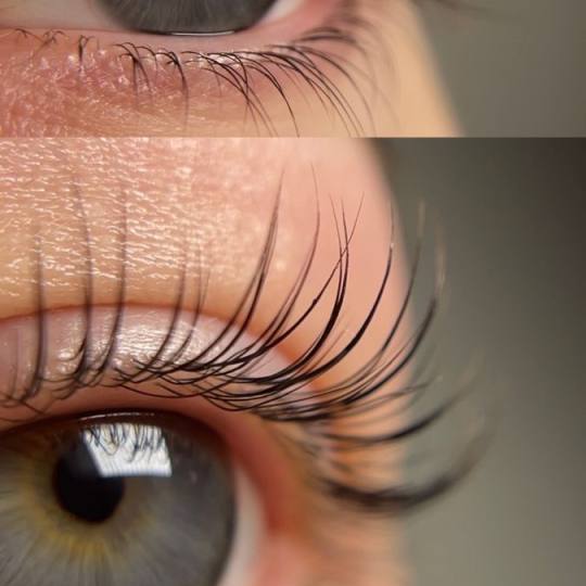 Xenija Beauty Room #beograd Trepavice Lash lift bez farbanja