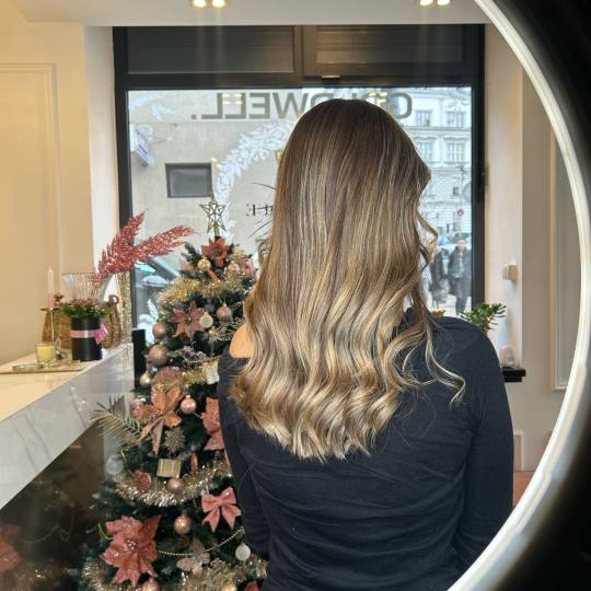 Esthetique Privé #beograd Pramenovi GOLDWELL Pramenovi + preliv + feniranje - duga kosa