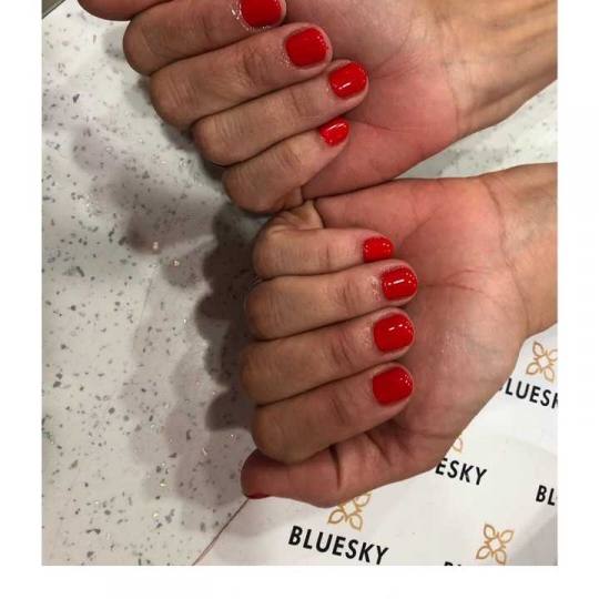 Beauty Industry #beograd Gel lak Gel lak - ruke Gel Lak
