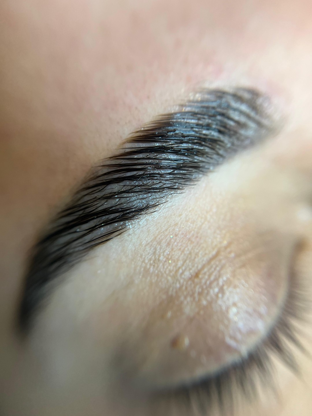 Studio 21 #beograd Obrve Brow lift - korekcija + farbanje obrva