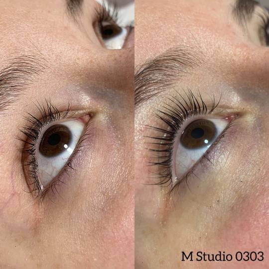 M Studio 0303 #novisad Trepavice Lash lift + farbanje trepavica + botox