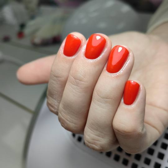 Andromeda Beauty Studio #beograd Gel lak Gel lak - ruke