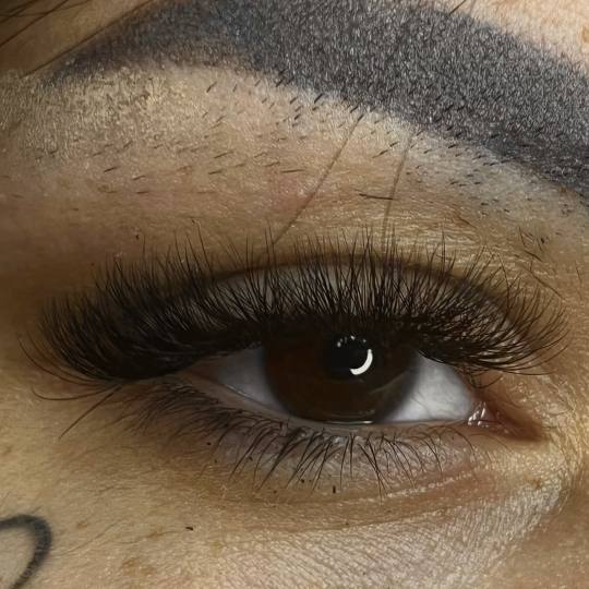 Mega Sun - Rakovica usluga