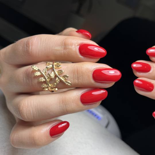 Studio Moldovan usluga