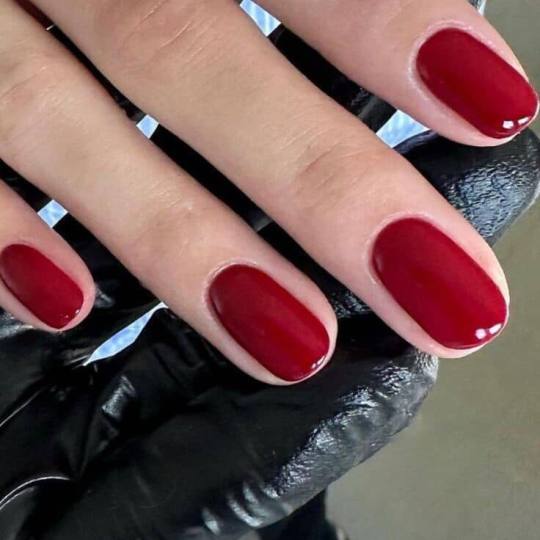 L’Avenue #beograd Manikir Manikir sa običnim lakom