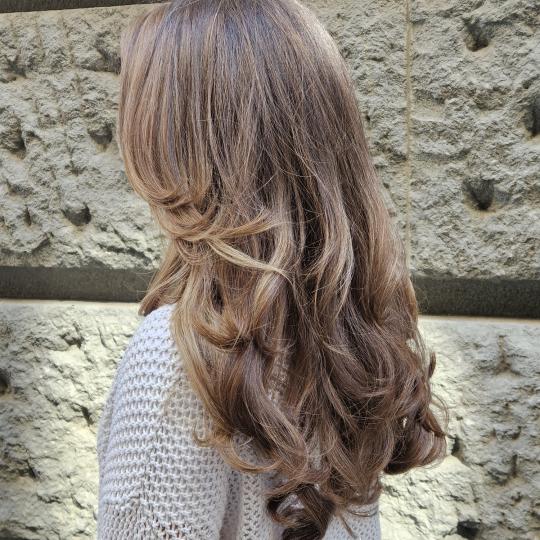 Amanović #beograd Pramenovi Površinski pramenovi - duga kosa