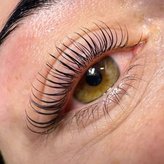 Xenija Beauty Room #beograd Trepavice Lash lift + farbanje trepavica 💖 Lash lift je tretman podiz