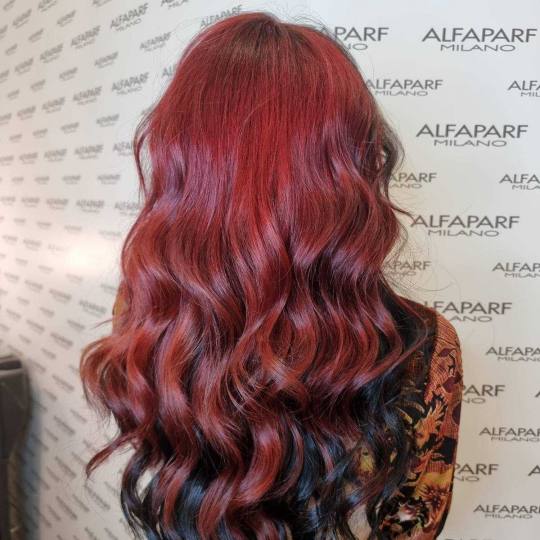 Alfaparf Studio #beograd Ombre, sombre, balayage Balayage / ombre / sombre - ekstra duga kosa