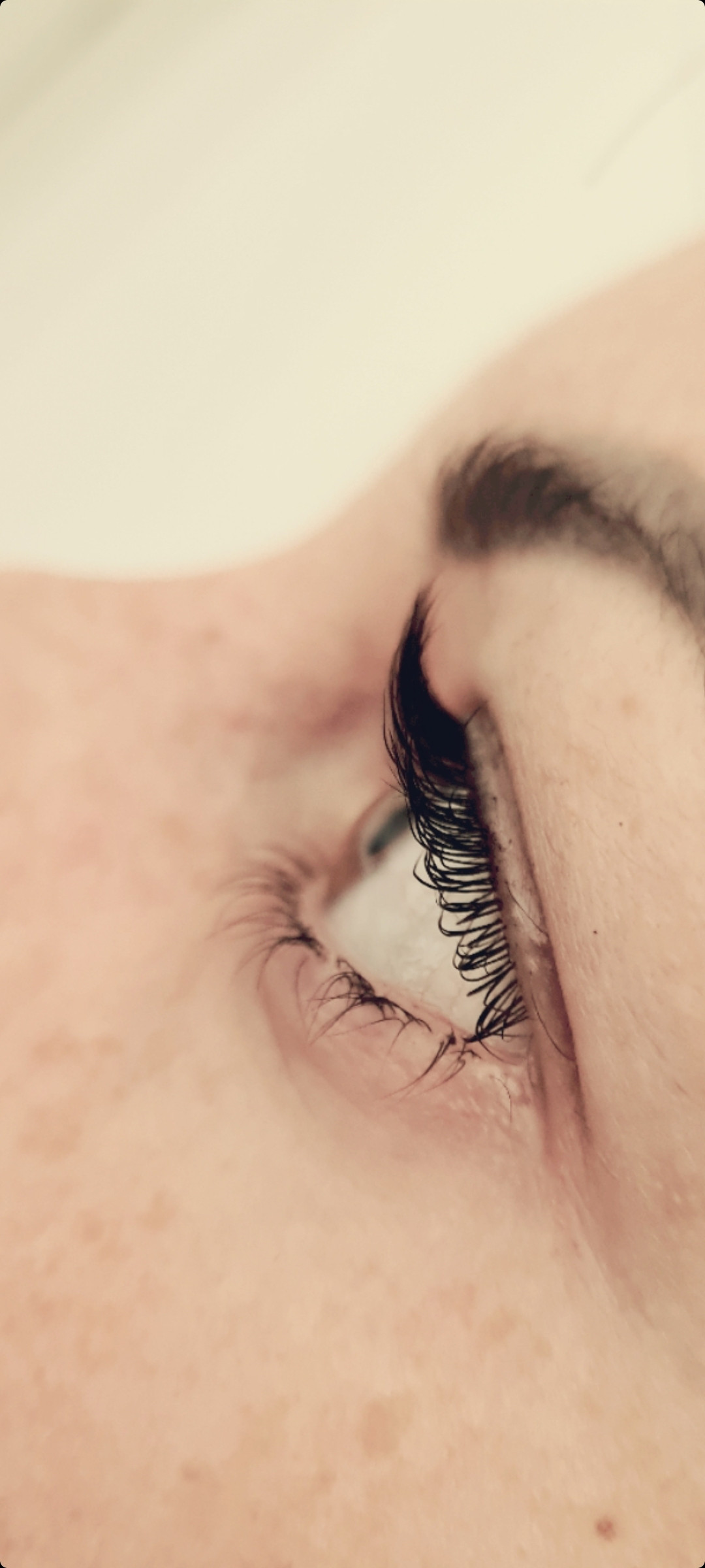 SunBox #beograd Trepavice Lash lift