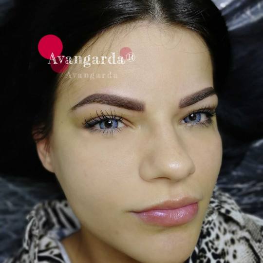 Avangarda #beograd puder obrve