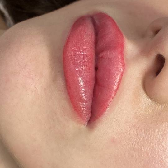 Frančeska beauty studio #novisad Pmu 
Permanentna sminka
