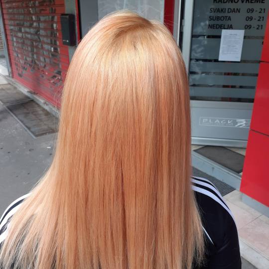 Pro Cut Zemun #beograd