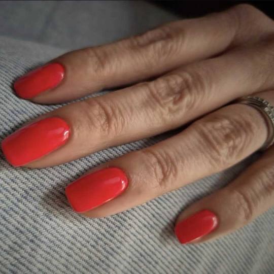 Moa cosmetics #beograd Manikir Manikir + gel lak Manikin sa gel lakom