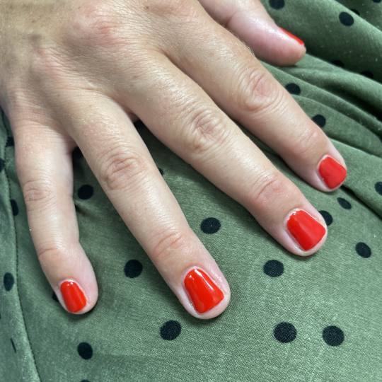 Beauty in Style DM #novisad Manikir Manikir + gel lak-rubber baza