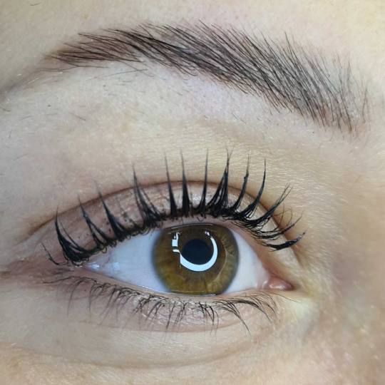 SunBox #beograd Obrve Lash lift + brow lift