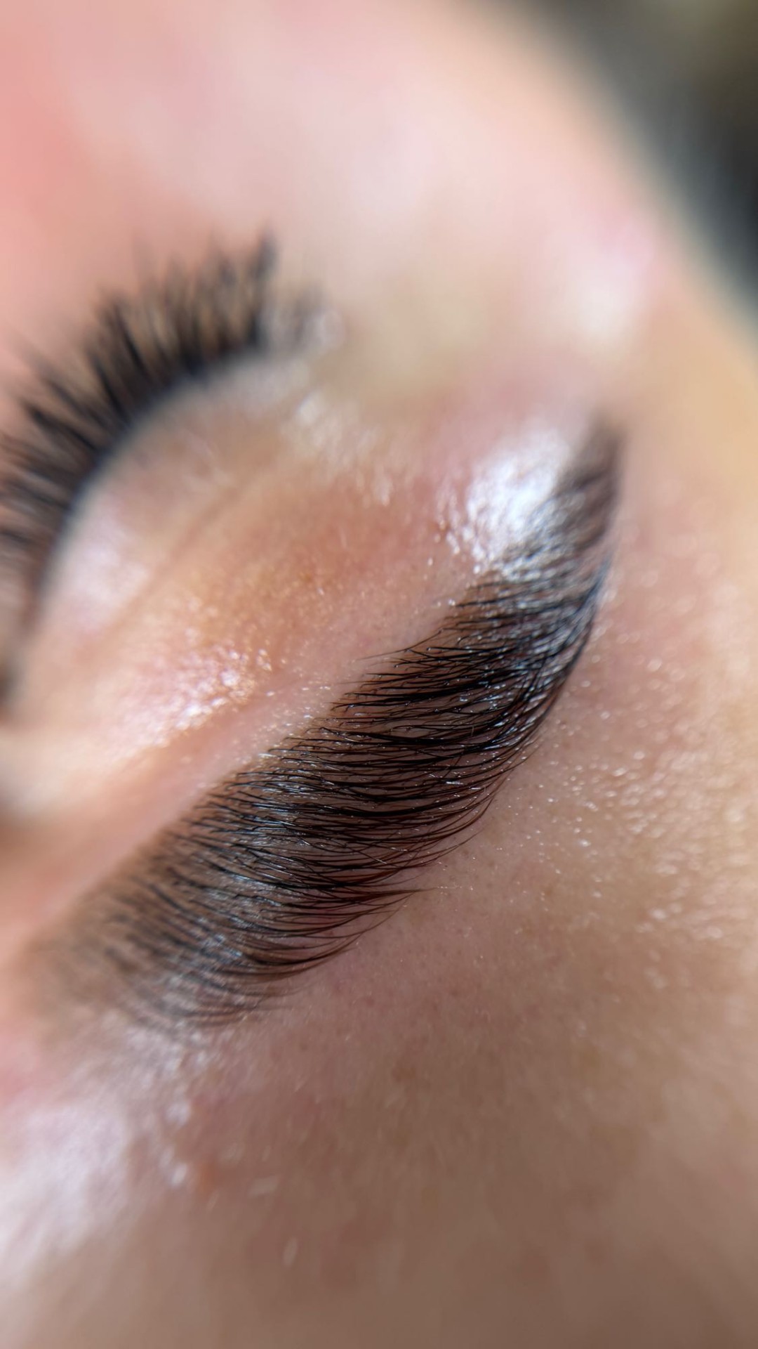 Laminacija obrva + farbanje obrva kanom + botox - Alexandria Brow&Beauty lounge, Beograd Make-up / šminkanje Lice Make-up / šminkanje, Beograd, Centar, Stari grad, Dorćol