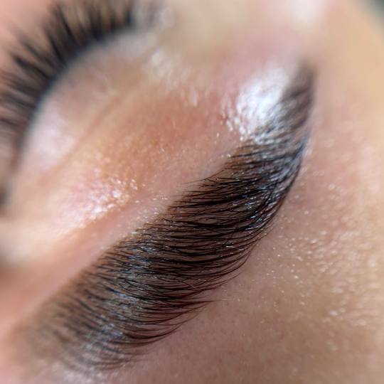 Alexandria Brow&Beauty lounge #beograd Make-up / šminkanje Laminacija obrva + farbanje obrva kanom 