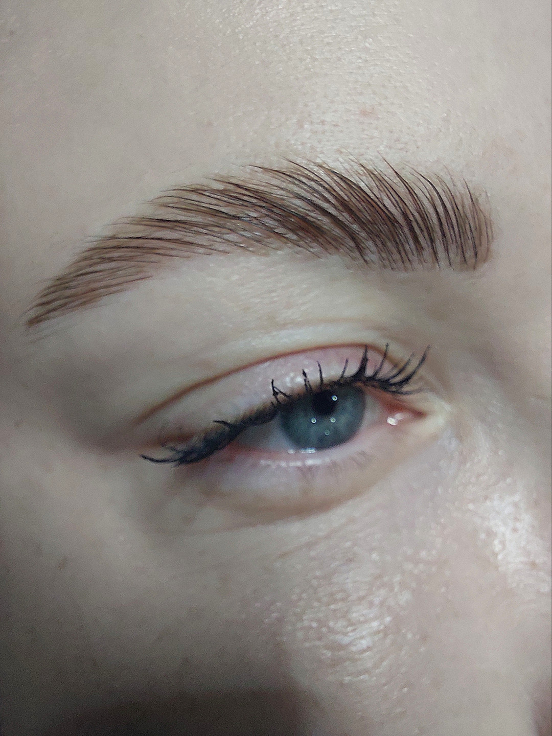 Beauty Palace by M #beograd Obrve Brow lift + farbanje