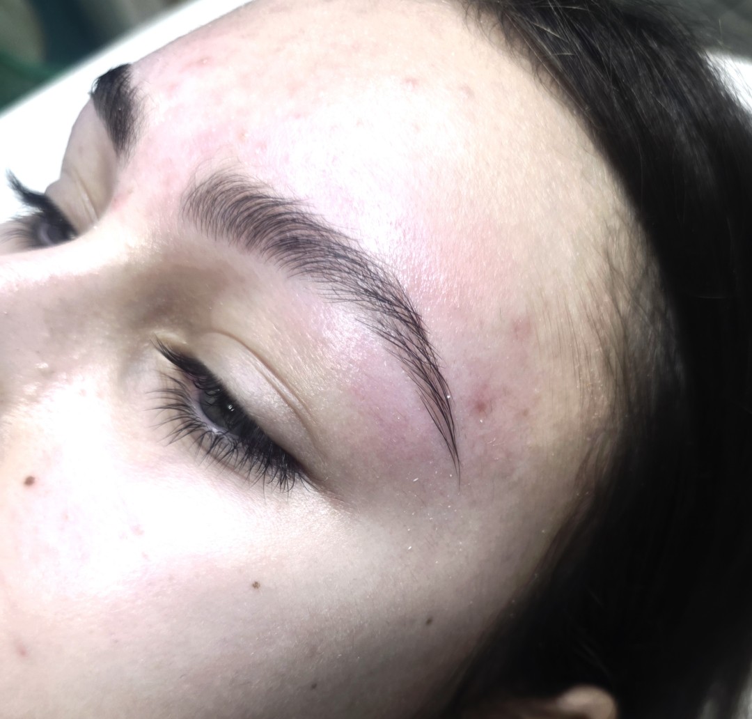 Gospođica Draga #novisad Obrve Korekcija obrva voskom / pincetom