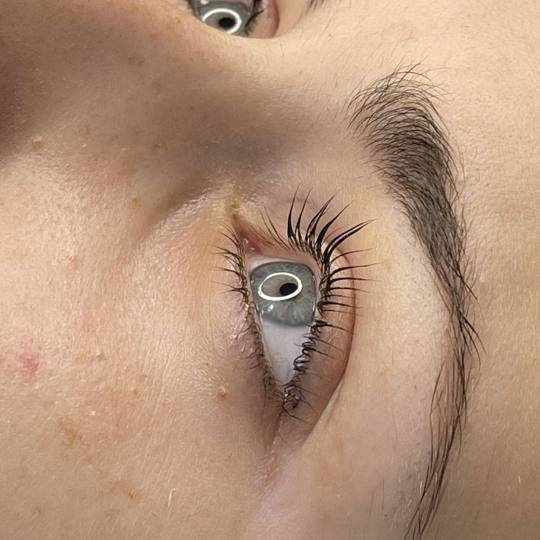 Zeta #beograd Trepavice Lash lift
