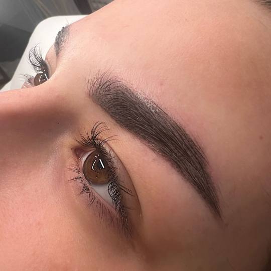 Alexandria Brow&Beauty lounge #beograd Make-up / šminkanje Ombre eyebrows - trajna šminka obrva