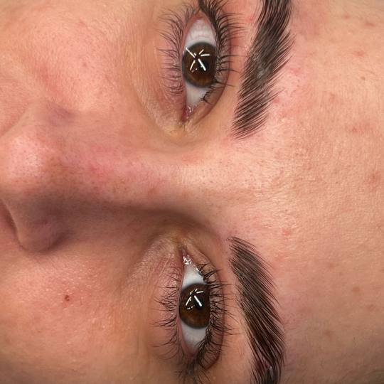Alexandria Brow&Beauty lounge #beograd Trepavice Lash lift + brow lift