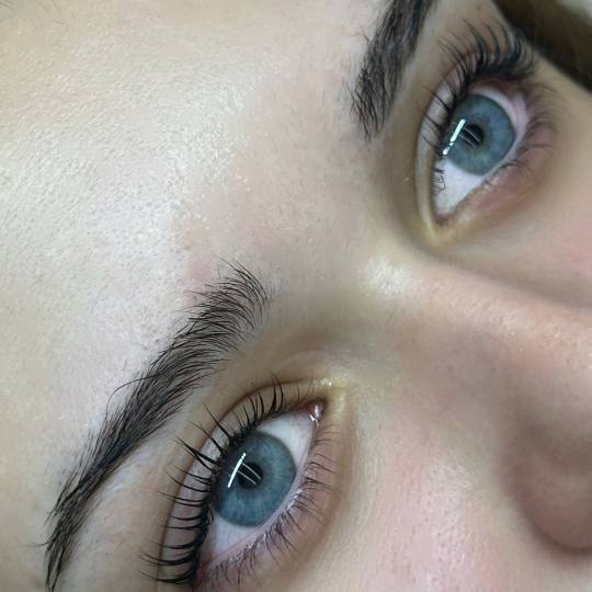 AnMi #novisad Trepavice Lash lift