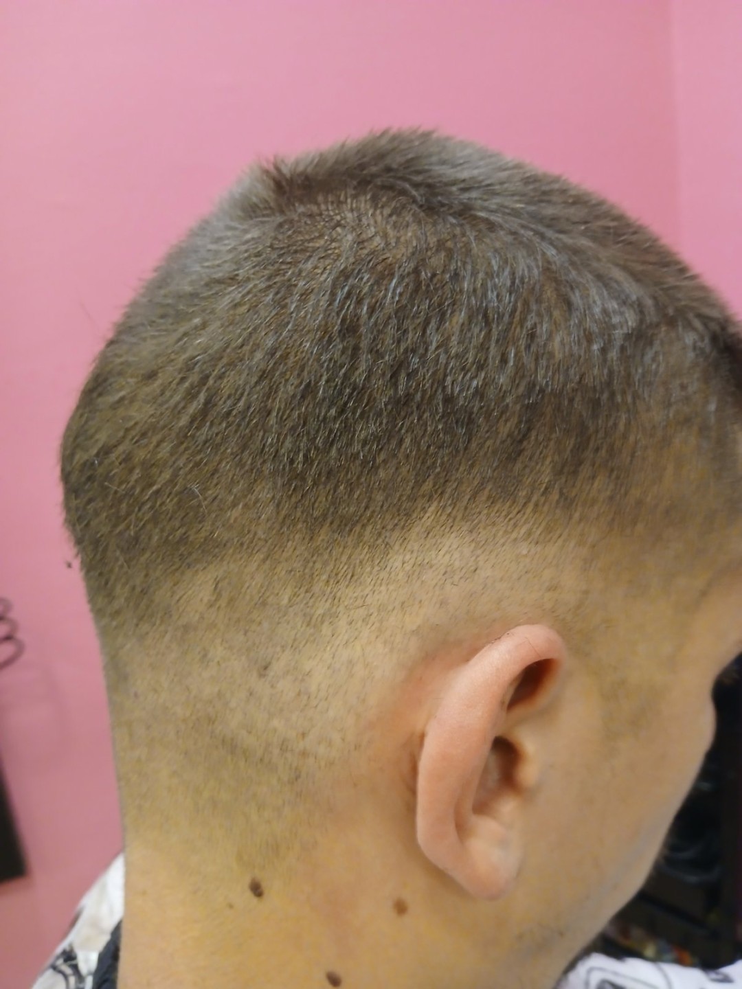 Sv. Mina, Beograd LookBook