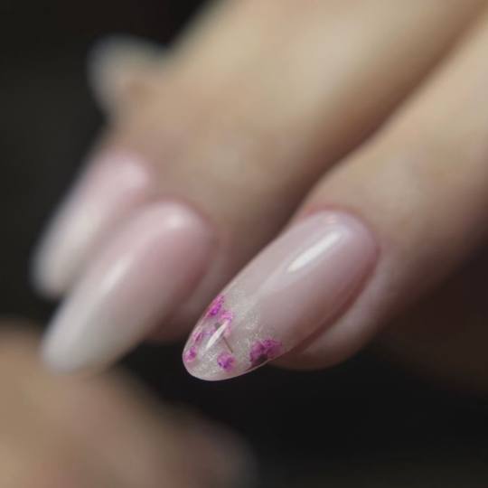 Beauty Nikka #novisad