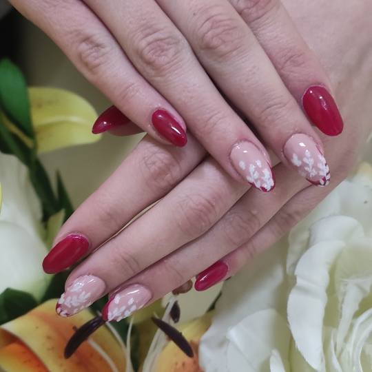 Pro studio Scarlet #beograd