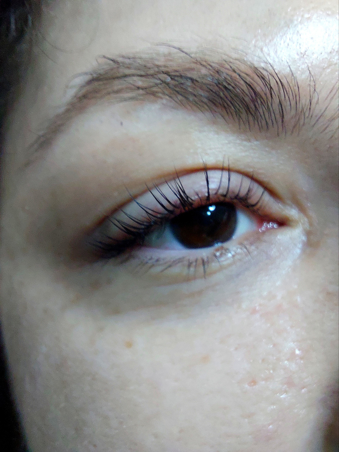 Beauty Palace by M #beograd Trepavice Lash lift + farbanje