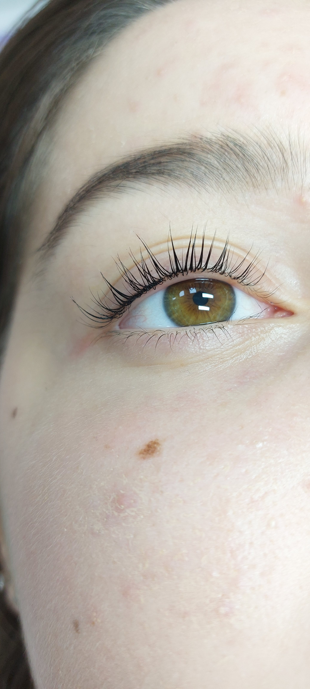 Andromeda Beauty Studio #beograd Nadogradnja trepavica Lash lift