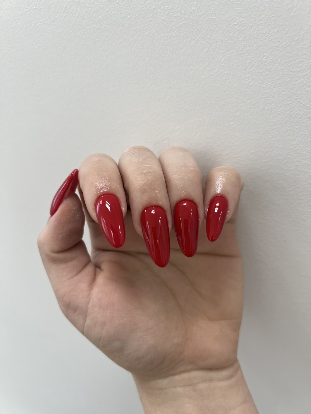 GM Beauty studio #beograd