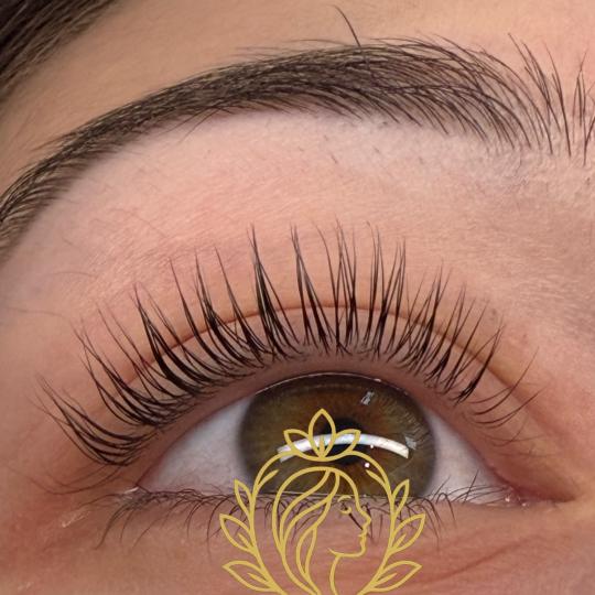 La Hermosa Beauty Studio #beograd Trepavice Lash lift + farbanje trepavica