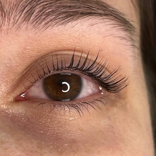 Pudra beauty #beograd Trepavice Lash lift