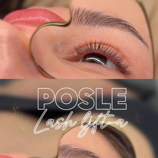 Alexandria Brow&Beauty lounge #beograd Trepavice Lash lift