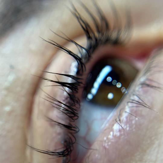 Alexandria Brow&Beauty lounge usluga