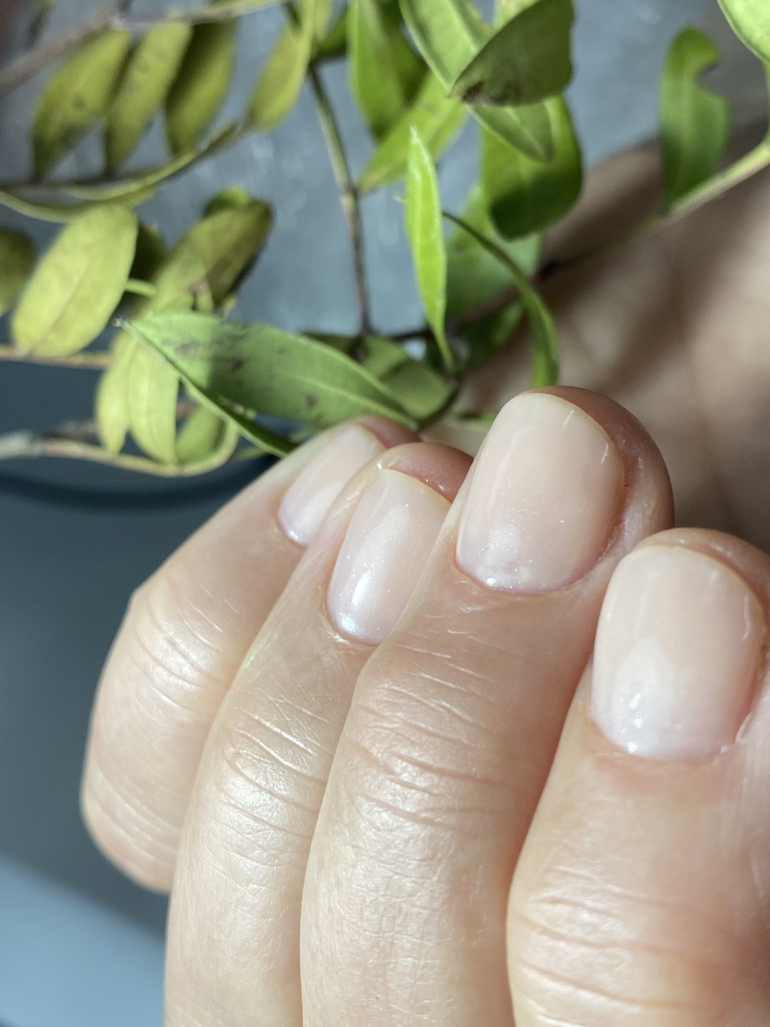 Frančeska beauty studio #novisad Ojačavanje noktiju Rubber baza