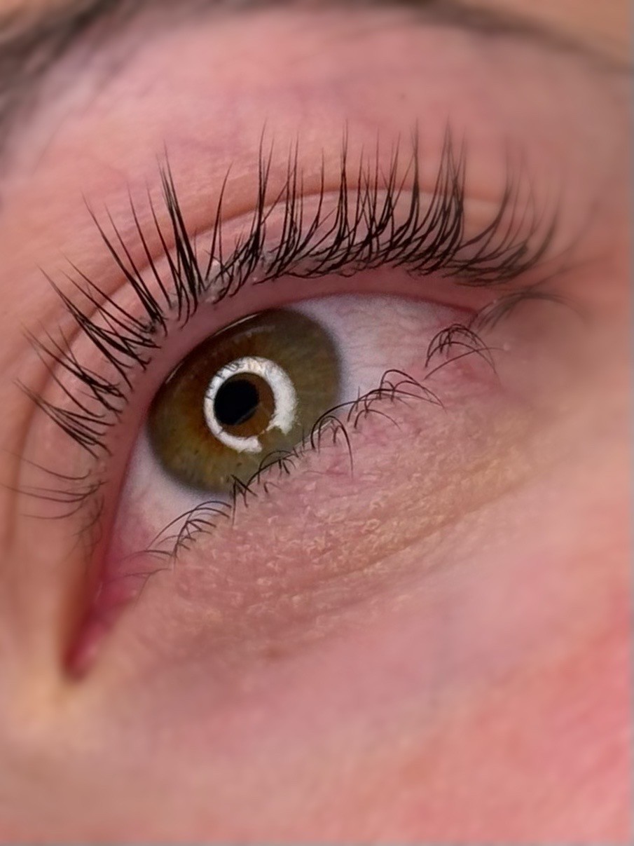 Liberty beauty studio #beograd Trepavice Lash lift