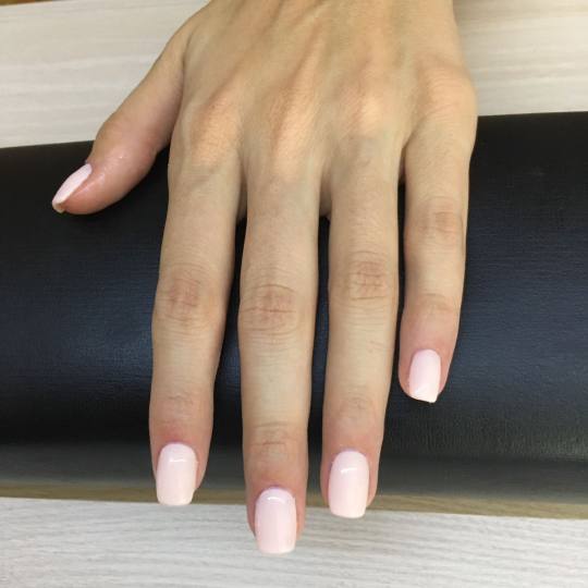 Your Majesty #beograd Manikir Shellac manikir shellac gel lak + manikir=zadovoljan klijent
