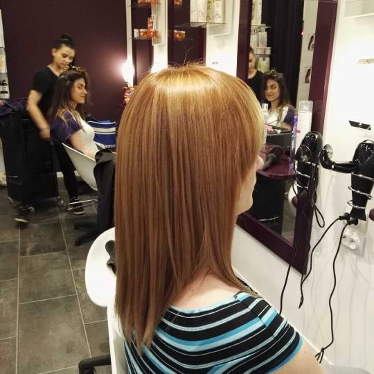 Alfaparf Studio #beograd Farbanje kose Farbanje cele dužine - duga kosa bivša plavuša :) farbanje