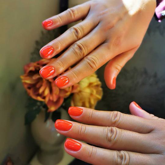 Bibi beauty centar #beograd Gel lak Gel lak - ruke gel lak by BiBi
