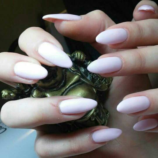 Unique Touch #beograd Manikir Manikir + gel lak french manikir + lak gel
