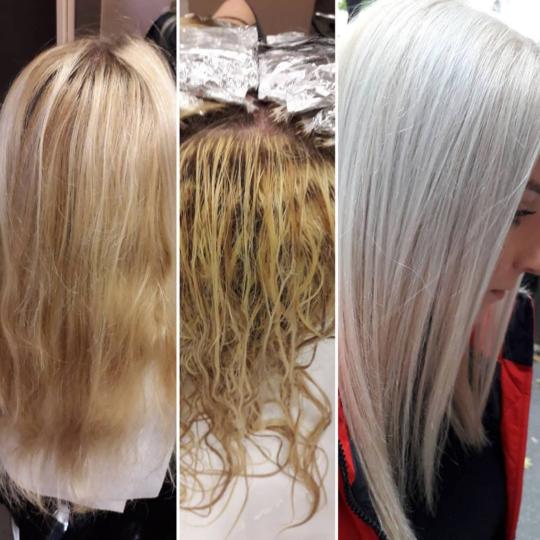 Royal cut - No Limit #beograd