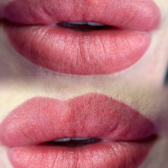 Revive - Skin & ink #beograd Trajna šminka Trajna šminka usana - Libelino lips / Ombre / Karmin
